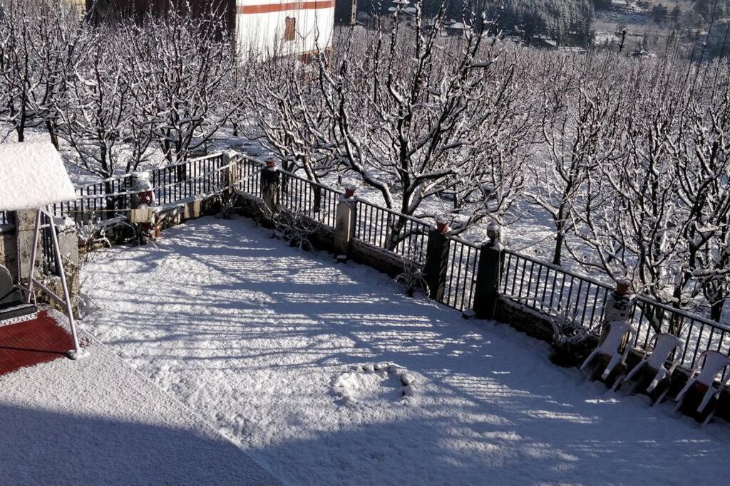 Aroma Taru Villa / Cottage ,Manali Bagian luar foto