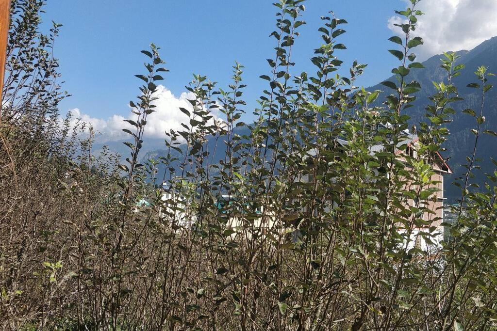 Aroma Taru Villa / Cottage ,Manali Bagian luar foto