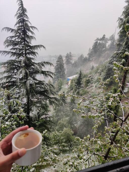 Aroma Taru Villa / Cottage ,Manali Bagian luar foto