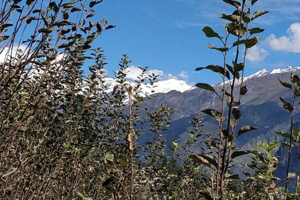 Aroma Taru Villa / Cottage ,Manali Bagian luar foto